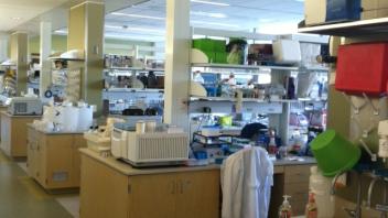 Open lab space concept