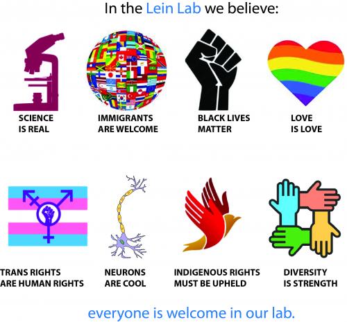 Diversity Image