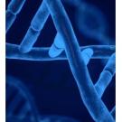 Graphic of spiraling DNA in blue